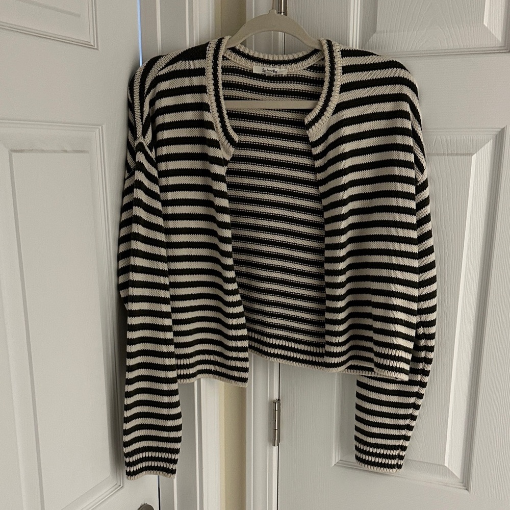 Splendid size medium